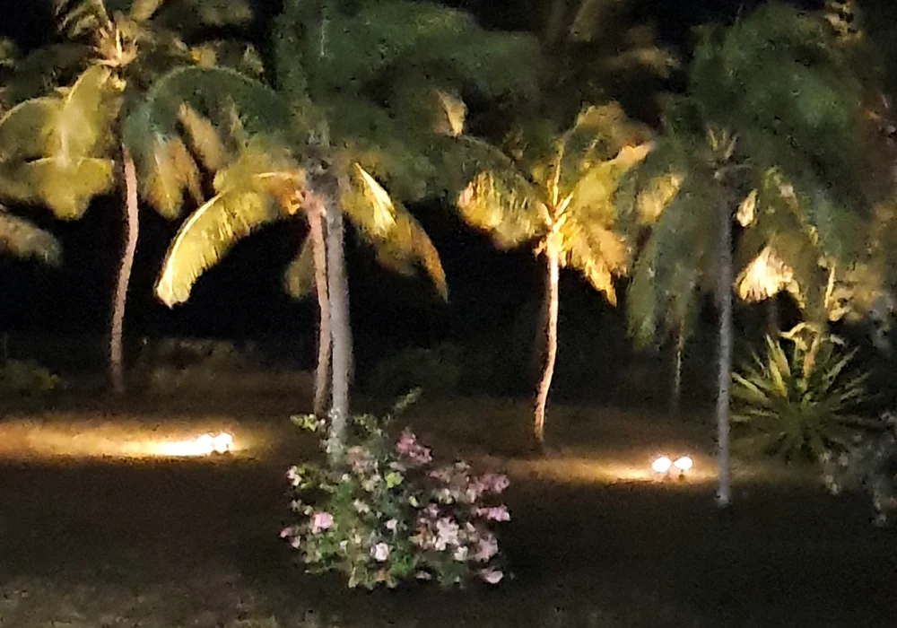 L’ambiance tropicale en soirée